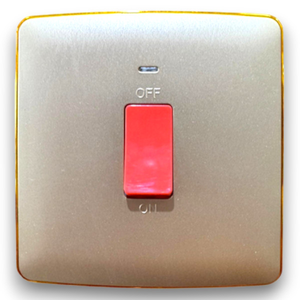 20AD.P. switch with neon